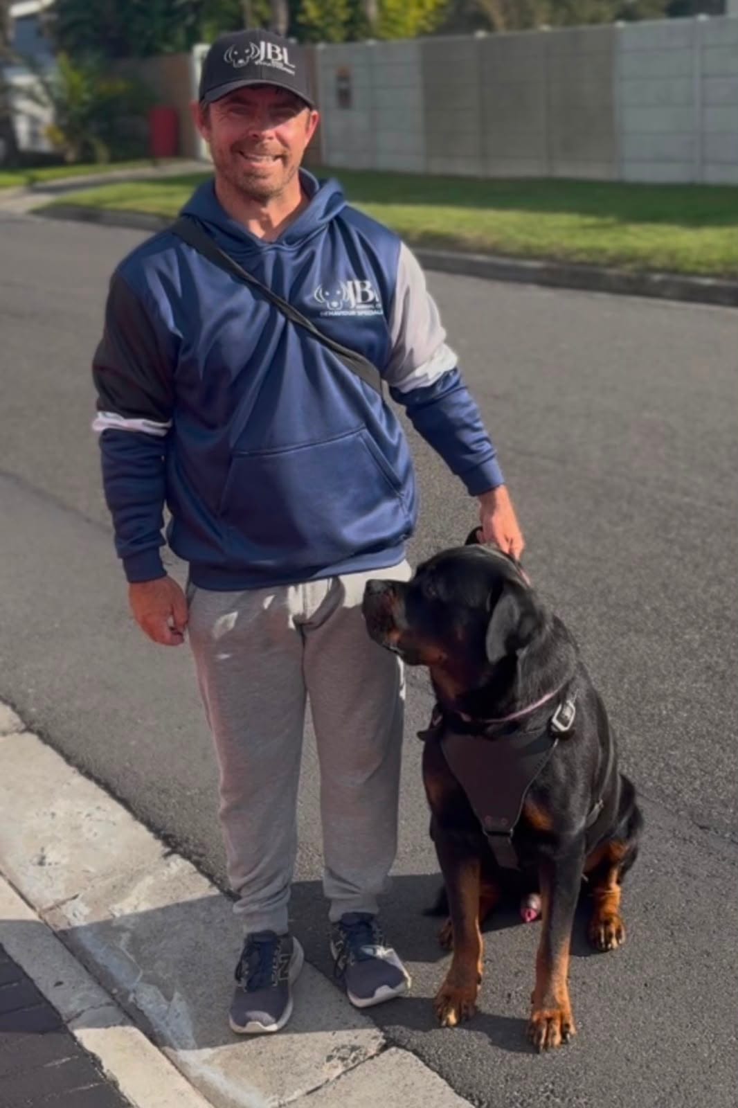 Professional dog behaviour services in Cape Town 